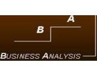 BUSINESS ANALYSIS